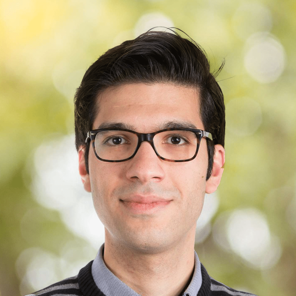 Babak Ehteshami Bejnordi